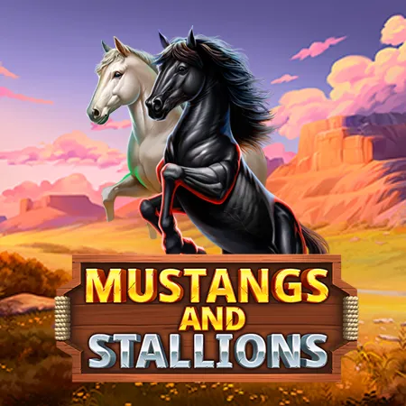 Mustangs and Stallions