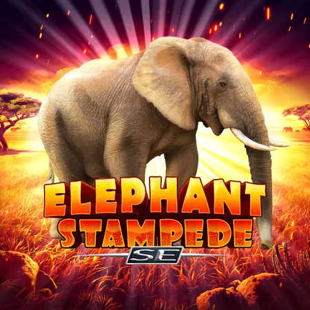 Elephant Stampede Special Edition