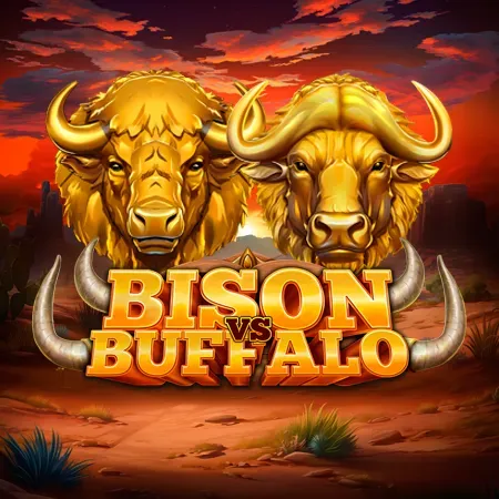 Bison Vs Buffalo